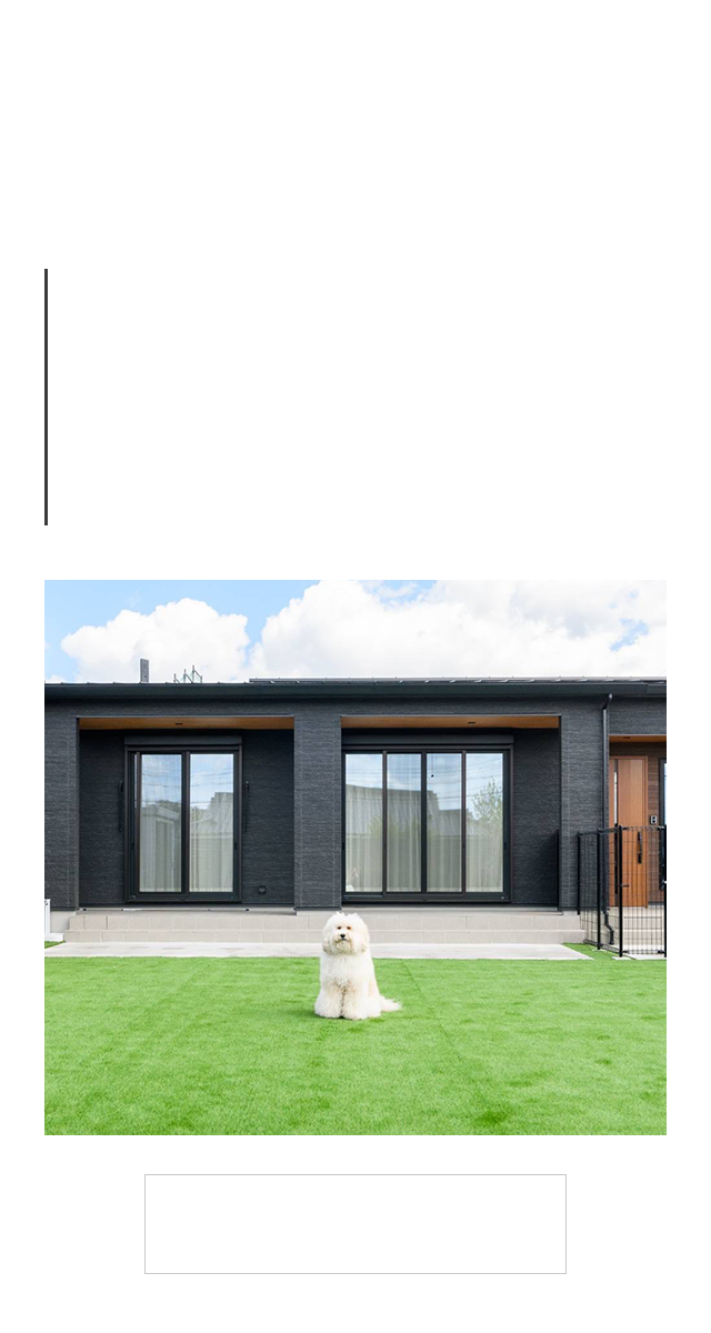 sp_secondmain